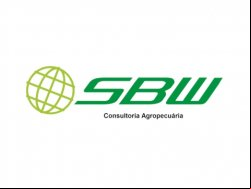 SBW CONSULTORIA